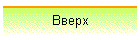 Вверх