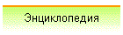 Энциклопедия
